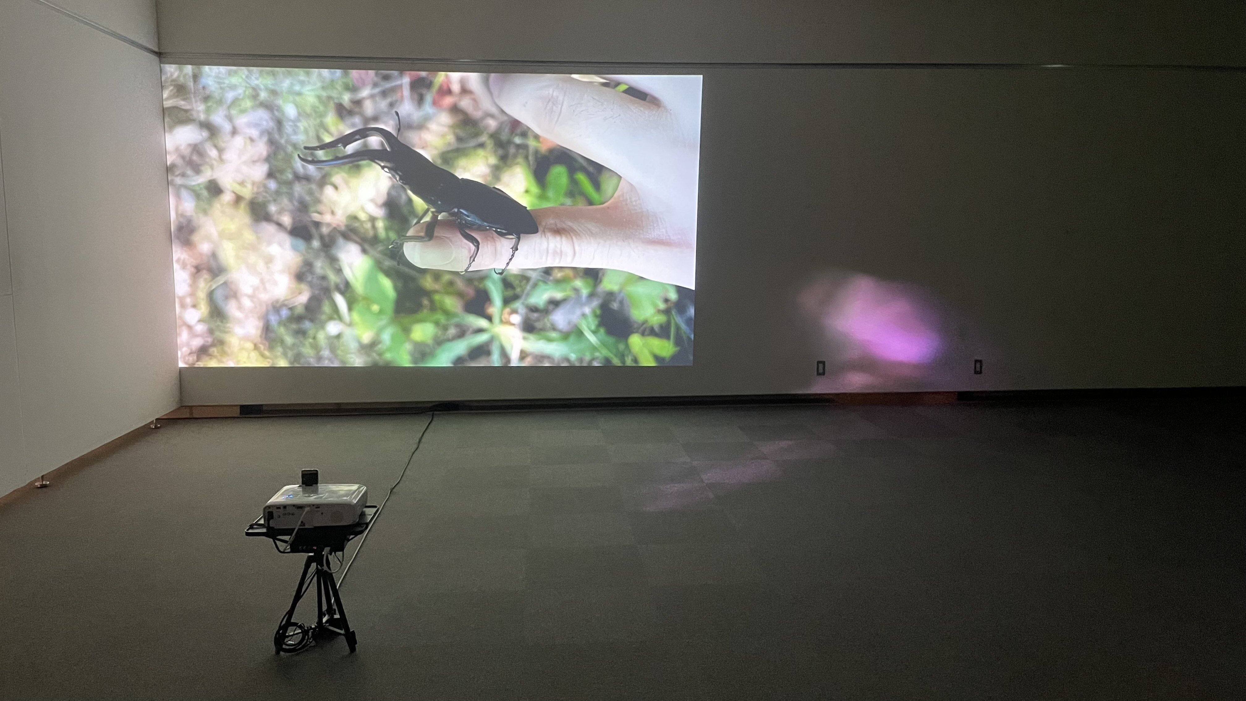 http://aichitriennale.art/ala/project/9ceb7289120caa8f6c65762217a0742f686da0df.jpeg