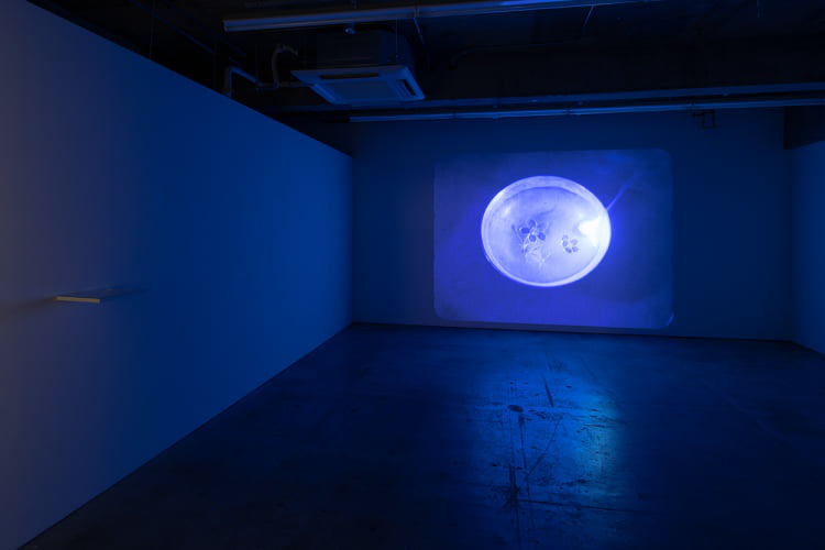 《Years Later 1918-2019》2019年