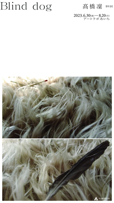 Blind dog（名古屋芸術大学）